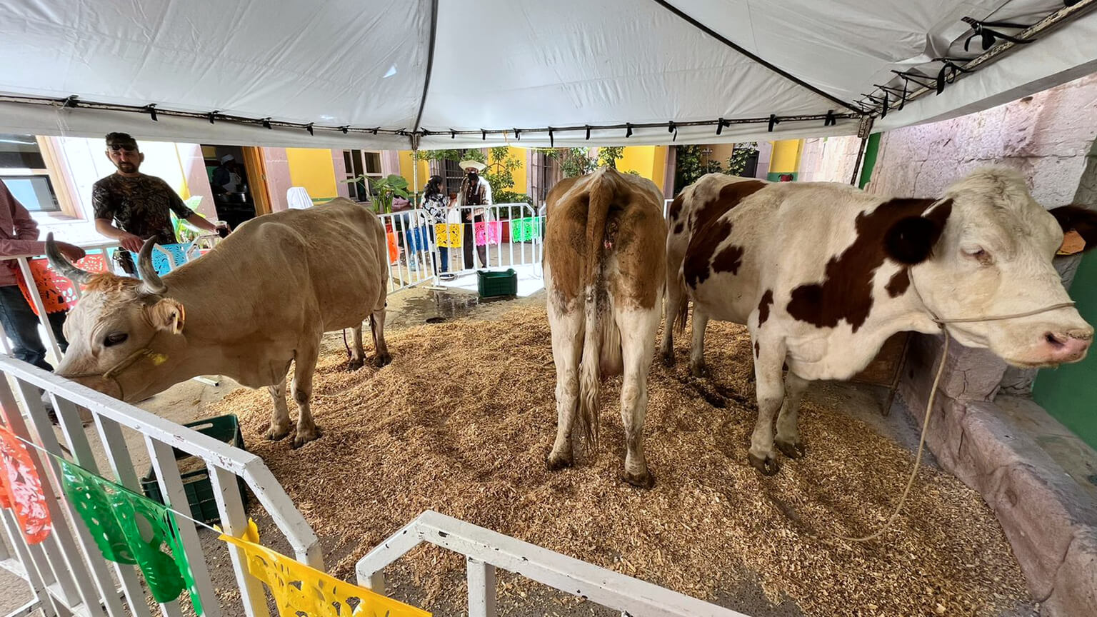 Se presenta Teúl de González Ortega en la muestra gastronómica y cultural del 36 Festival Cultural Zacatecas 2022