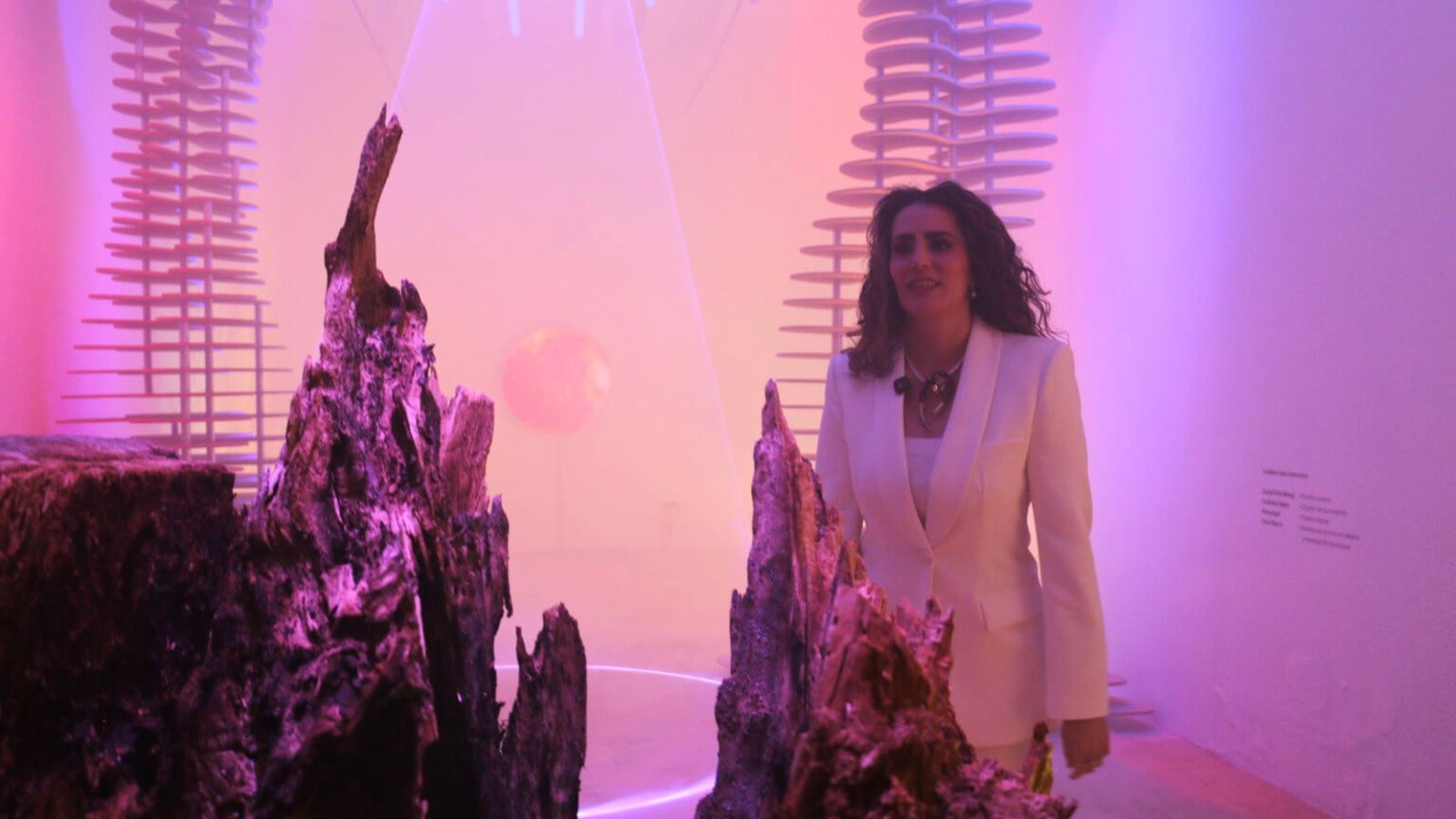 Artistas Gabriela Suárez y Joaquín Trujillo presentan propuestas innovadoras en el Museo Manuel Felguérez